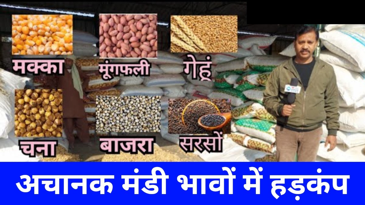 Mandi Bhav List Check