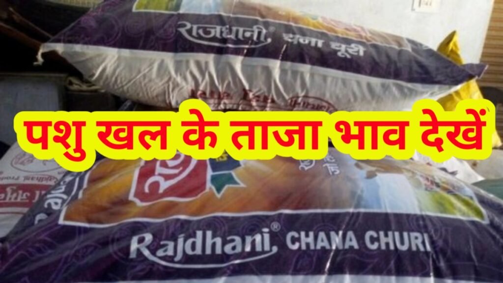 Mustered Cake Updated Price