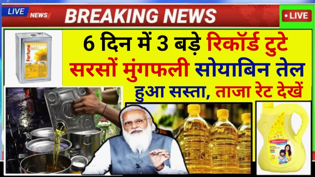 Mustard Oil Price Today Report